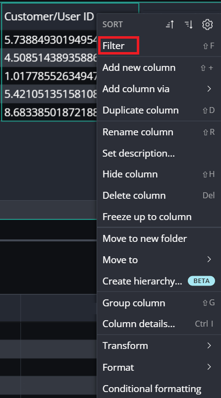 A screenshot that shows the Filter item highlighted.